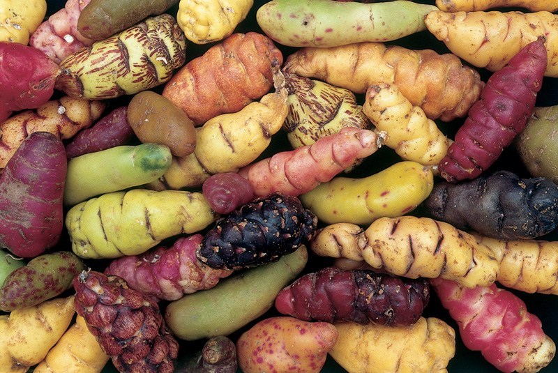 Peru